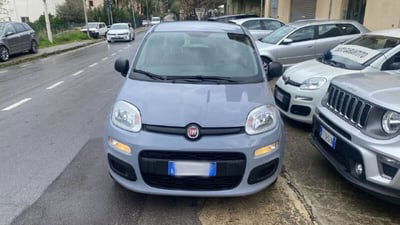 Fiat Panda 1.0 FireFly S&S Hybrid City Cross  usata