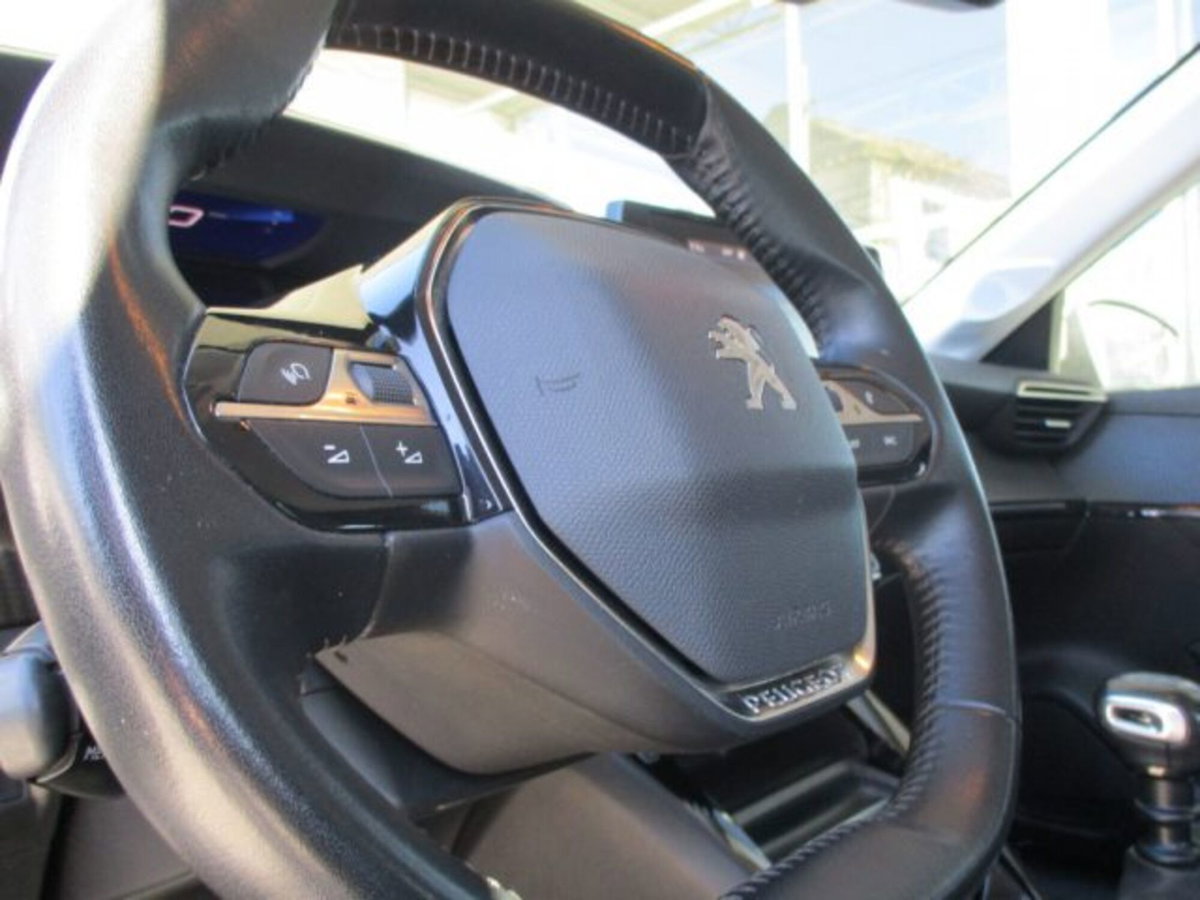Peugeot 208 BlueHDi 100 Stop&Start 5 porte Allure Navi Pack (19)