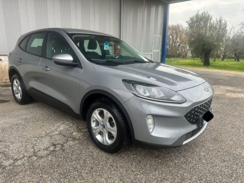 Ford Kuga 1.5 EcoBlue 120 CV 2WD ST-Line