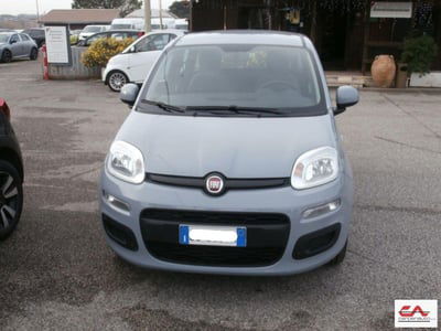 Fiat Panda 1.0 FireFly S&S Hybrid City Cross usata