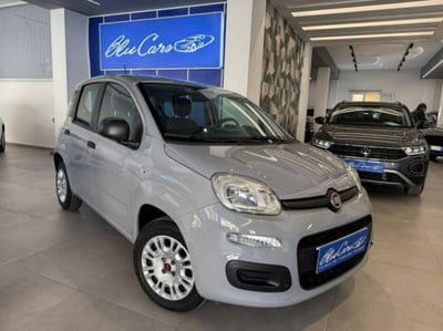 Fiat Panda 1.2 Easy usata