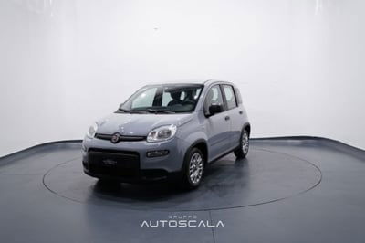 Fiat Panda 1.0 firefly hybrid s&s 70cv 5p.ti usata