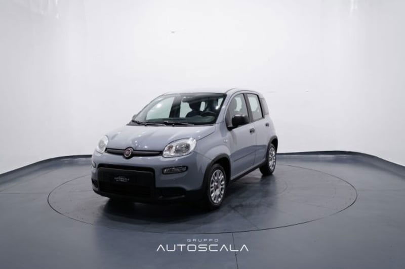 Fiat Panda 1.0 firefly hybrid s&s 70cv 5p.ti