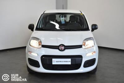 Fiat Panda 1.0 firefly hybrid s&s 70cv 5p.ti usata
