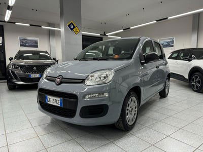 Fiat Panda 1.2 Easy usata