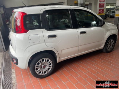 Fiat Panda 1.2 Easy (6)