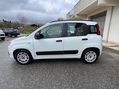 Fiat Panda 1.3 MJT S&S Lounge (4)
