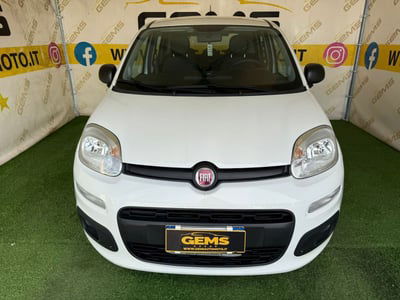 Fiat Panda 1.2 Easy usata