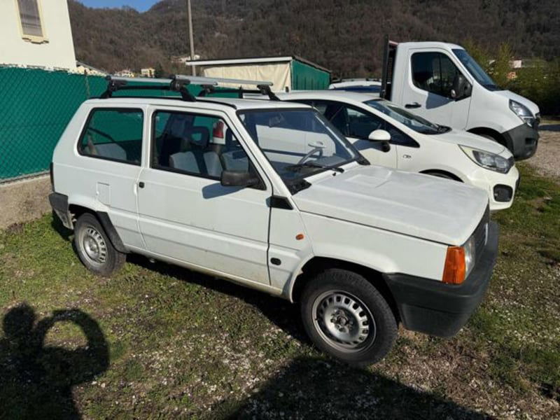 Fiat Panda 1100 i.e. cat Young