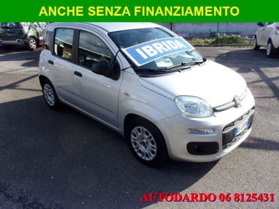 Fiat Panda 1.0 firefly hybrid s&s 70cv 5p.ti usata