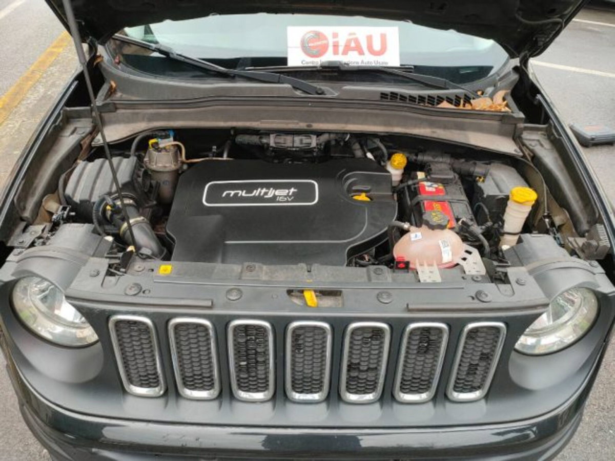 Jeep Renegade 1.6 Mjt 120 CV Longitude (20)