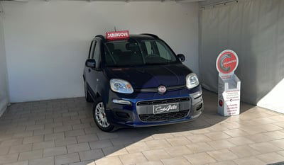 Fiat Panda 1.0 FireFly S&S Hybrid City Cross  usata