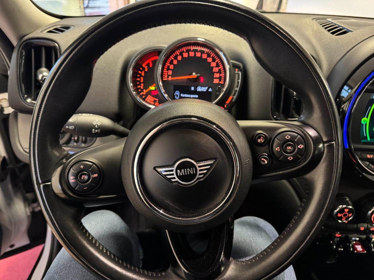 MINI Mini Countryman 2.0 Cooper D Countryman ALL4 (12)
