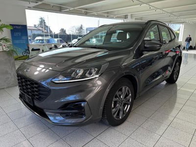 Ford Kuga 2.0 EcoBlue 120 CV aut. 2WD ST-Line X usata