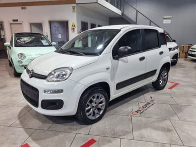 Fiat Panda 1.3 MJT 95 CV S&S 4x4 usata