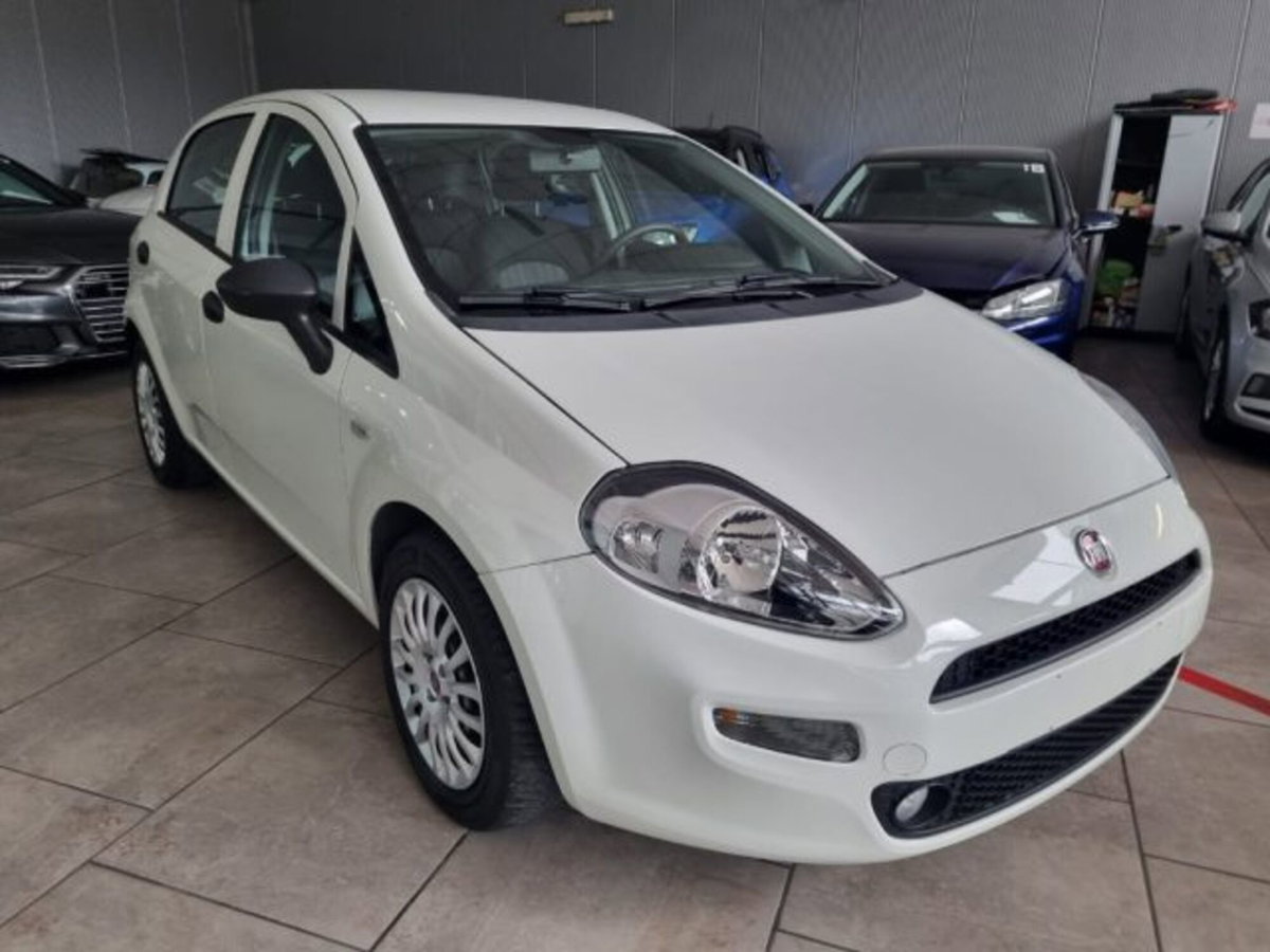 Fiat Punto 1.3 MJT 95CV S&S 5 porte Van 4 posti N1 (3)