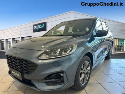 Ford Kuga 1.5 EcoBlue 120 CV aut. 2WD ST-Line X Design usata