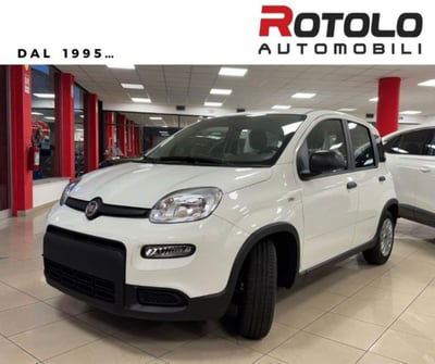 Fiat Panda 1.0 firefly hybrid s&s 70cv 5p.ti nuova