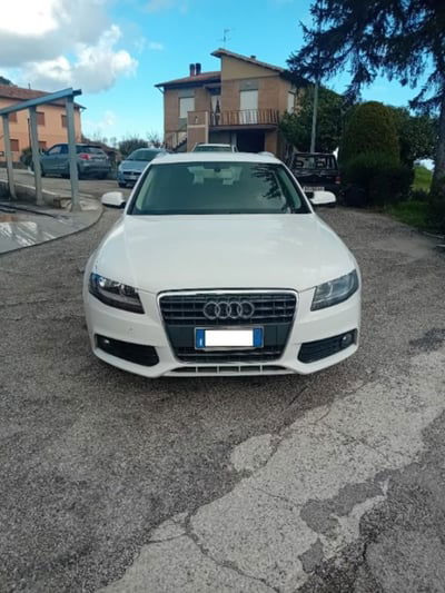 Audi A4 Avant 2.0 TDI 120CV F.AP. Start Plus usata