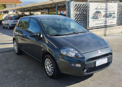 Fiat Punto 1.2 8V 5 porte Street usata