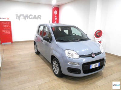 Fiat Panda 1.2 Easy usata
