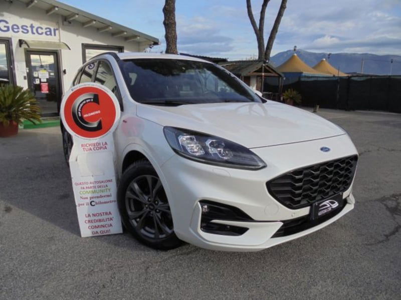 Ford Kuga 2.0 EcoBlue Hybrid 150 CV 2WD ST-Line X