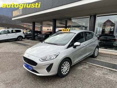 Ford Fiesta 1.1 75 CV GPL 5 porte usata