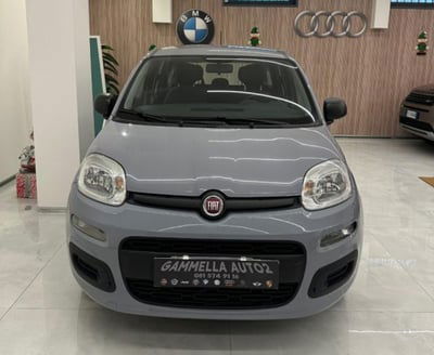 Fiat Panda 1.2 Easy  usata