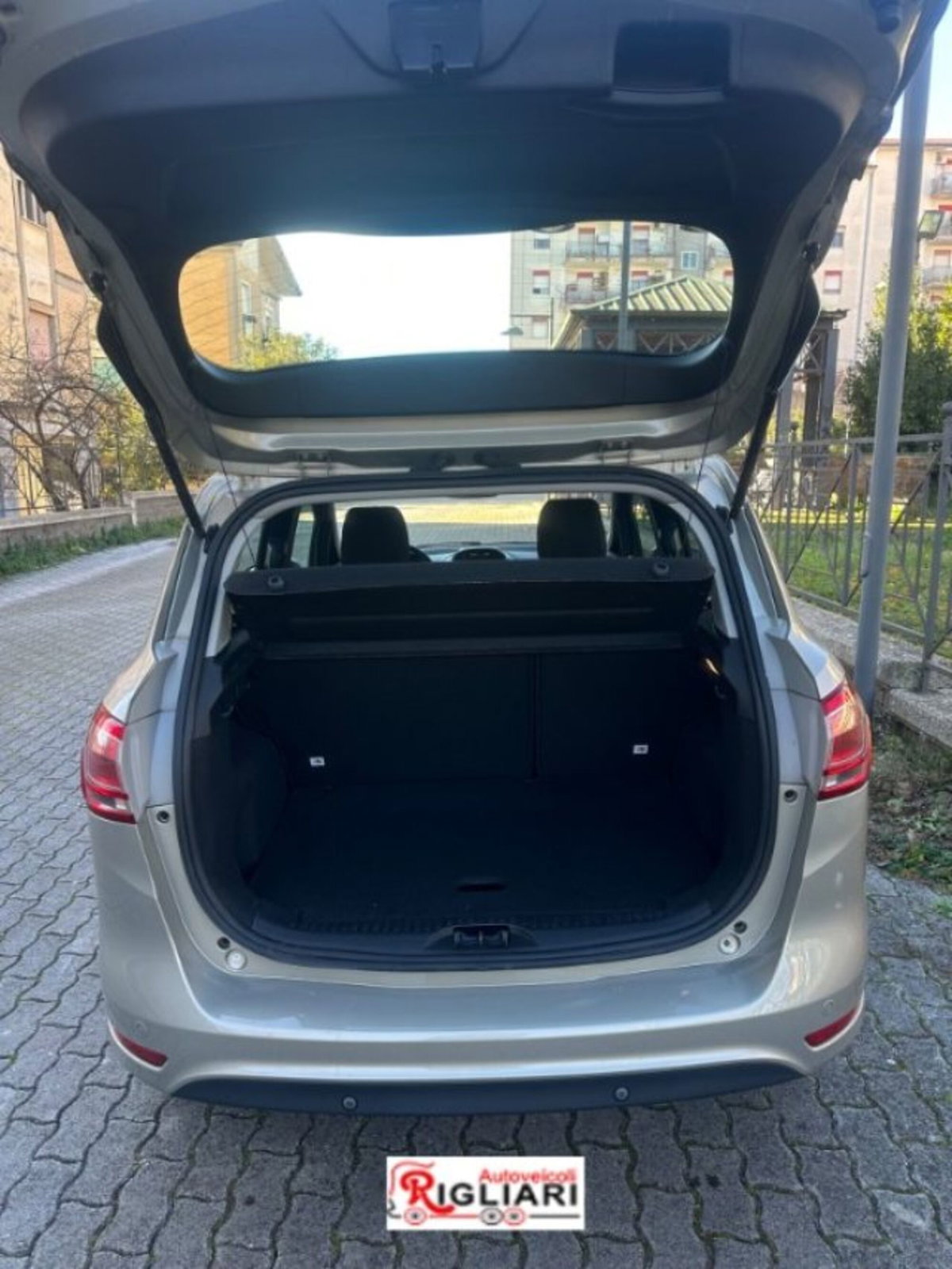 Ford B-Max B-Max 1.6 TDCi 95 CV Titanium (4)