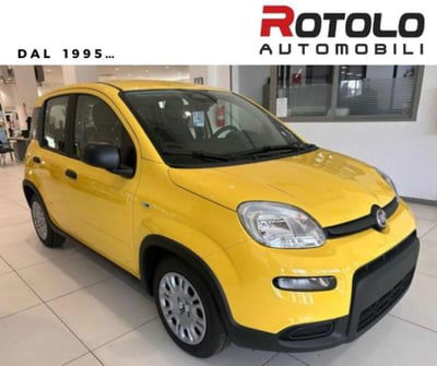 Fiat Panda 1.0 firefly hybrid s&s 70cv 5p.ti nuova