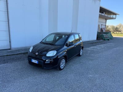 Fiat Panda 1.0 FireFly S&S Hybrid  usata