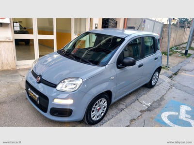 Fiat Panda Cross Cross 1.0 FireFly S&S Hybrid  usata