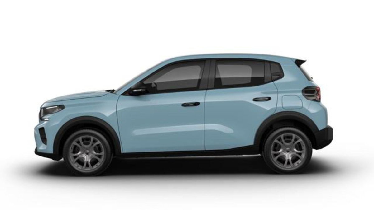 Citroen C3 1.2 puretech turbo Business 100cv s&s (2)
