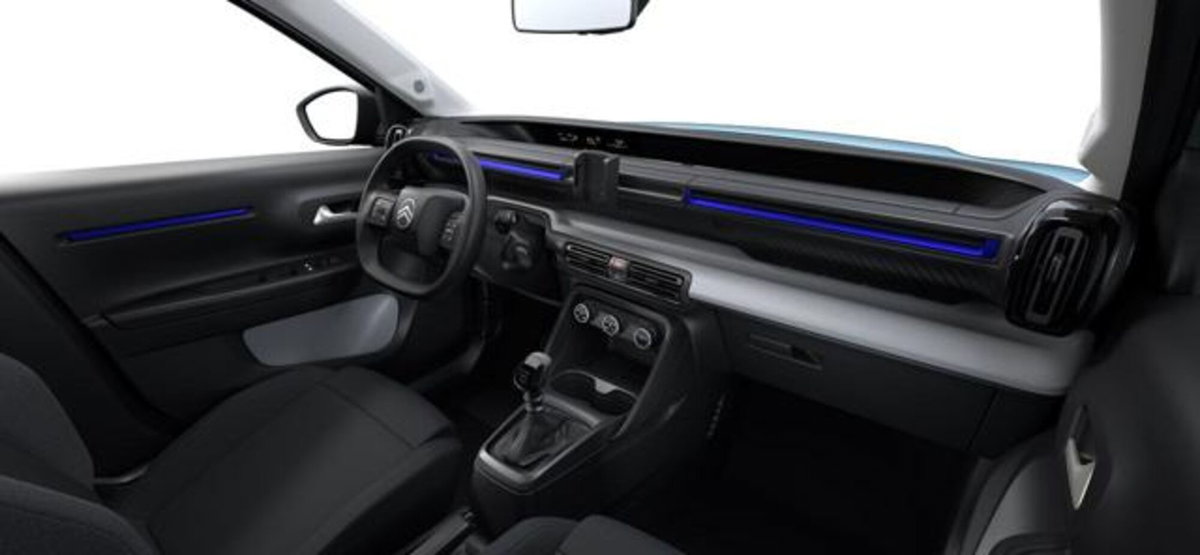 Citroen C3 1.2 puretech turbo Business 100cv s&s (5)