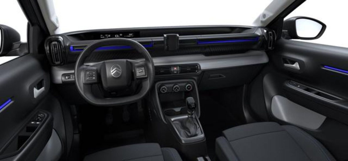 Citroen C3 1.2 puretech turbo Business 100cv s&s (6)