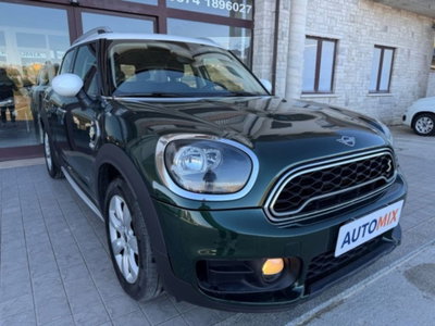 MINI Mini Countryman 1.5 Cooper Essential Countryman ALL4 (8)