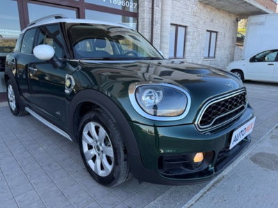 MINI Mini Countryman 1.5 Cooper Essential Countryman ALL4 (9)
