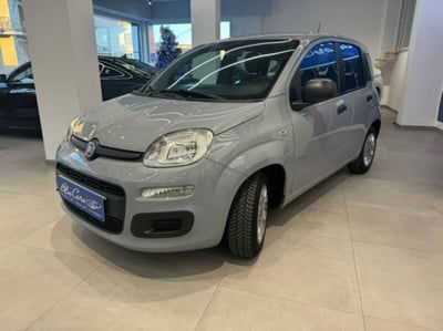Fiat Panda 1.0 firefly hybrid s&s 70cv 5p.ti usata