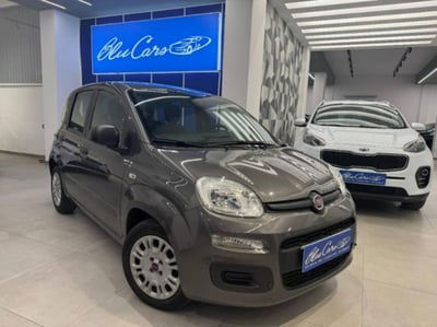 Fiat Panda 1.0 firefly hybrid s&s 70cv 5p.ti usata