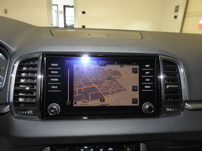 Skoda Karoq 2.0 TDI EVO SCR 115 CV DSG Ambition (9)