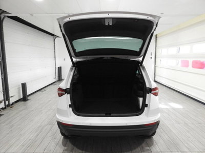Skoda Karoq 2.0 TDI EVO SCR 115 CV DSG Ambition (13)