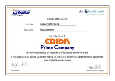 Alfa Romeo Junior 1.2 ibrida Sport Speciale 145cv edct6 (15)