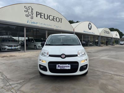 Fiat Panda 1.2 Easy usata