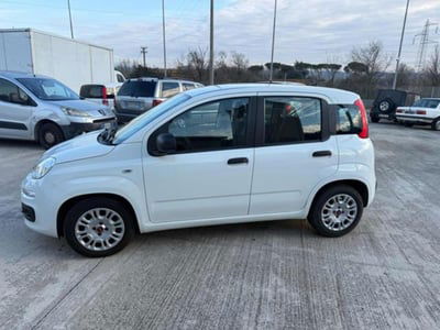 Fiat Panda 1.0 firefly hybrid s&s 70cv 5p.ti usata
