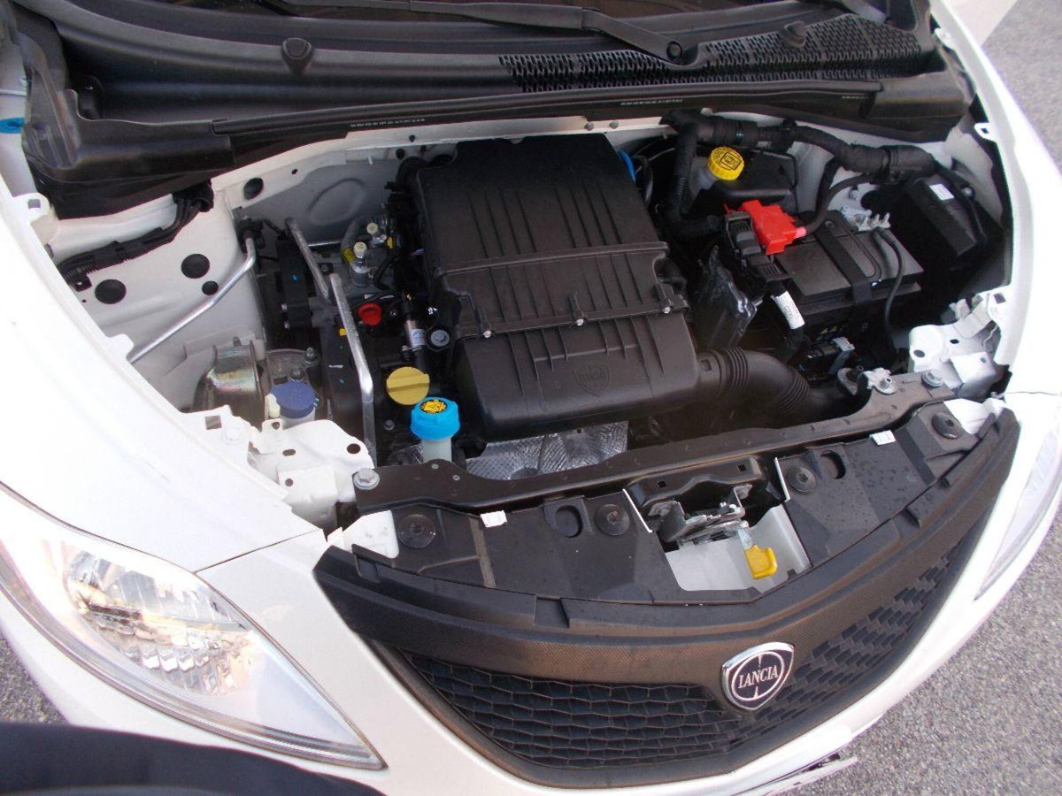 Lancia Ypsilon 1.2 69 CV 5 porte Elefantino Blu (15)