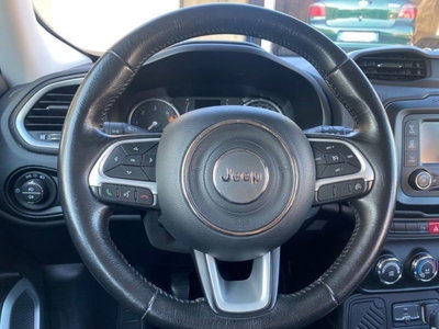 Jeep Renegade 1.6 Mjt 120 CV Longitude (12)