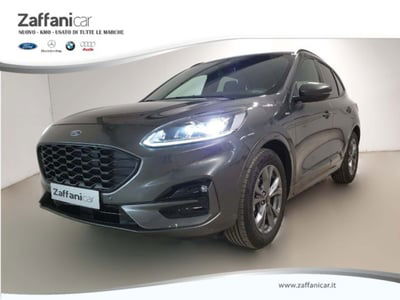 Ford Kuga 2.0 EcoBlue 120 CV aut. 2WD ST-Line X usata