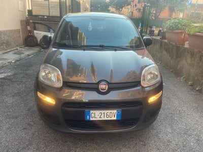 Fiat Panda Cross Cross 1.0 FireFly S&S Hybrid  usata