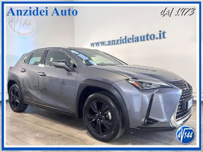 Lexus UX Hybrid Business usata