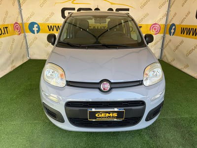 Fiat Panda 1.2 Easy usata